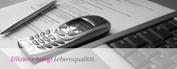 Revision,Steuern,Revisionsexpertin